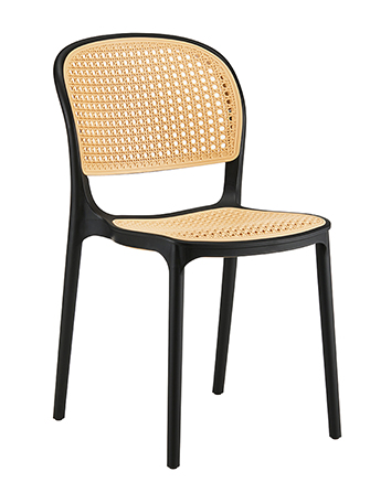 plastic dining chair.jpg