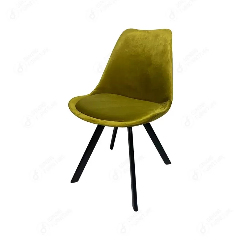 Upholstered Velvet Chair with Iron Legs DC-F03J