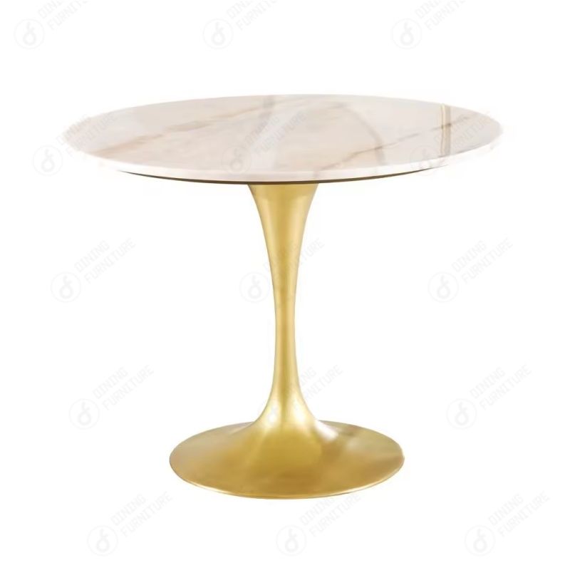 Metal Disc Base Glass Table DT-G08