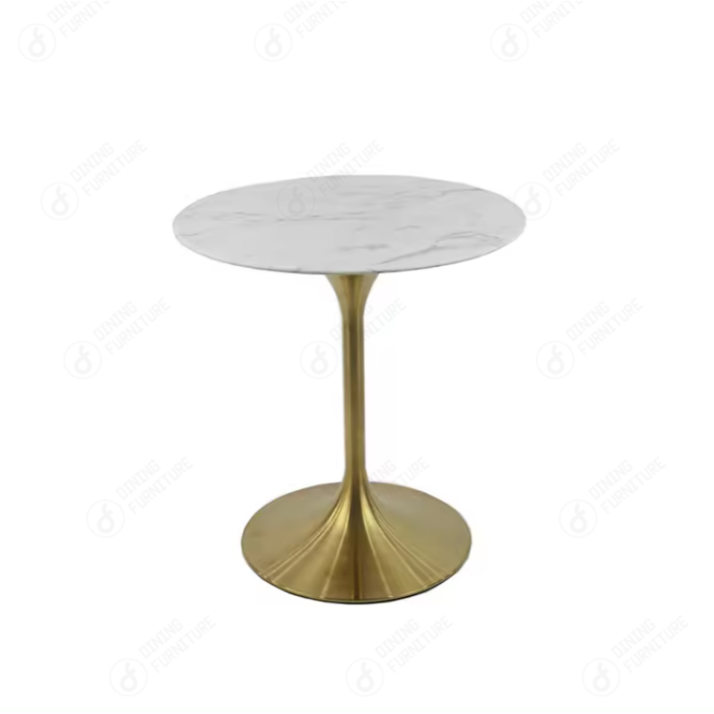 Metal Disc Base Glass Table DT-G08