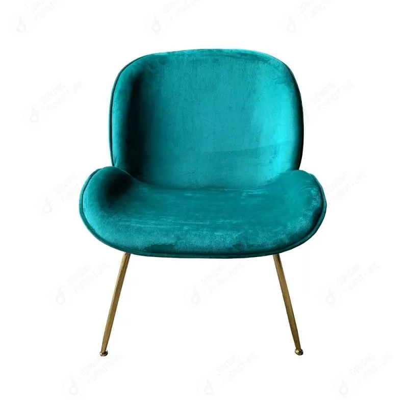 Velvet Living Room Chair with Backrest DS-04