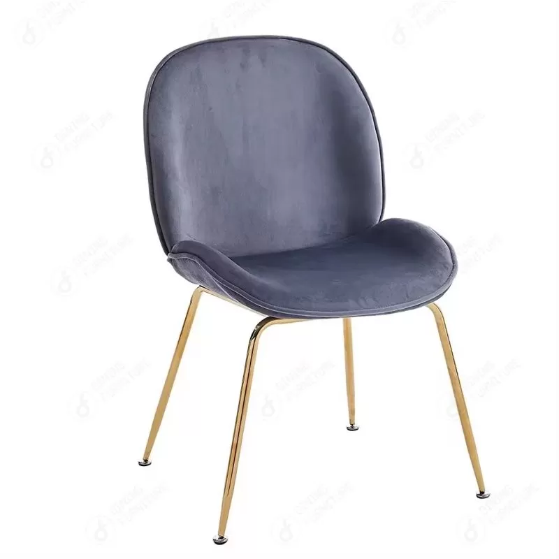 Velvet Living Room Chair with Backrest DS-04